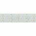 Лента RT 2-2500 24V Day4000 5x2 (2835, 875 LED, LUX)